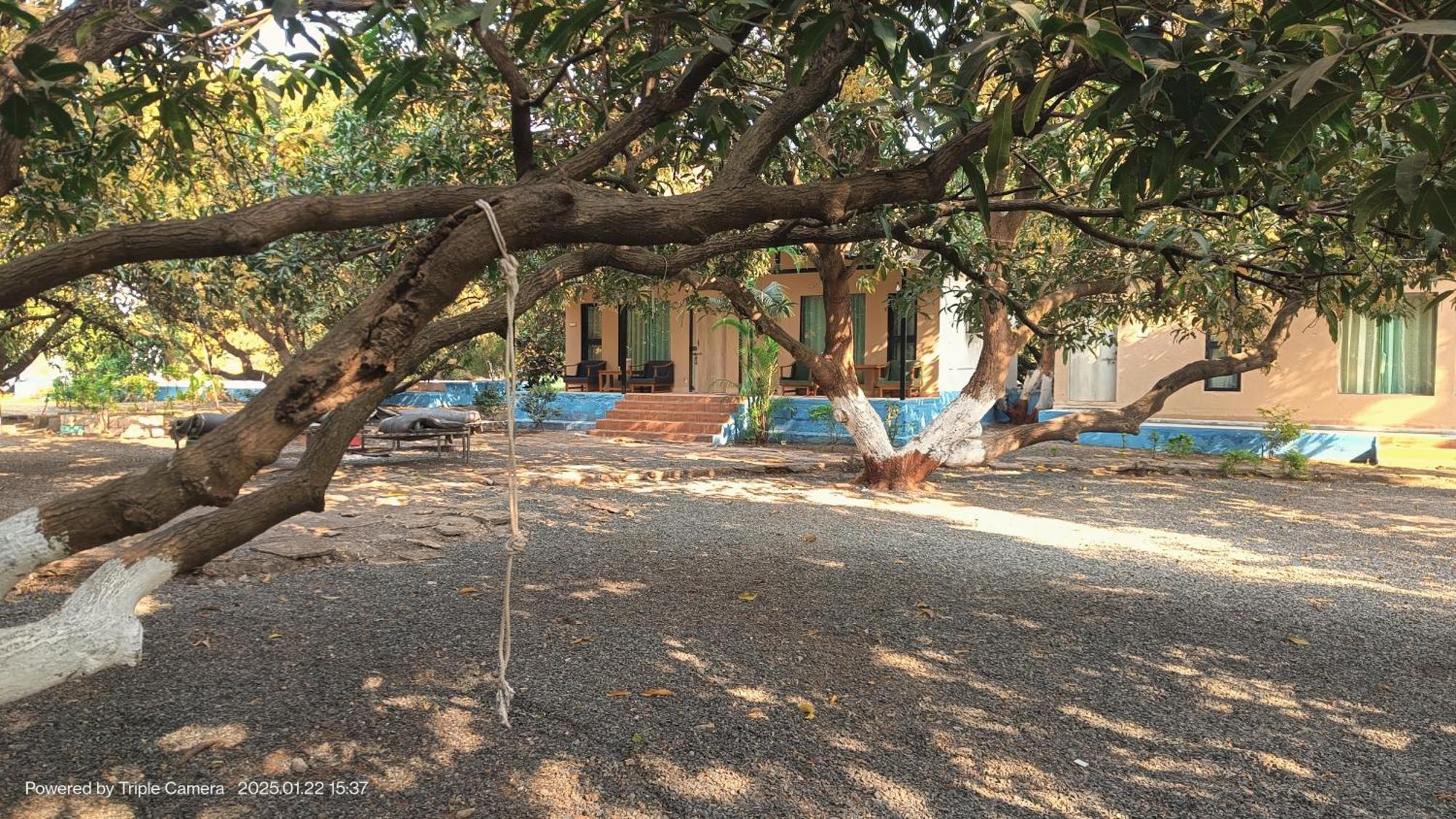 Gir County Resort 萨三吉尔 外观 照片