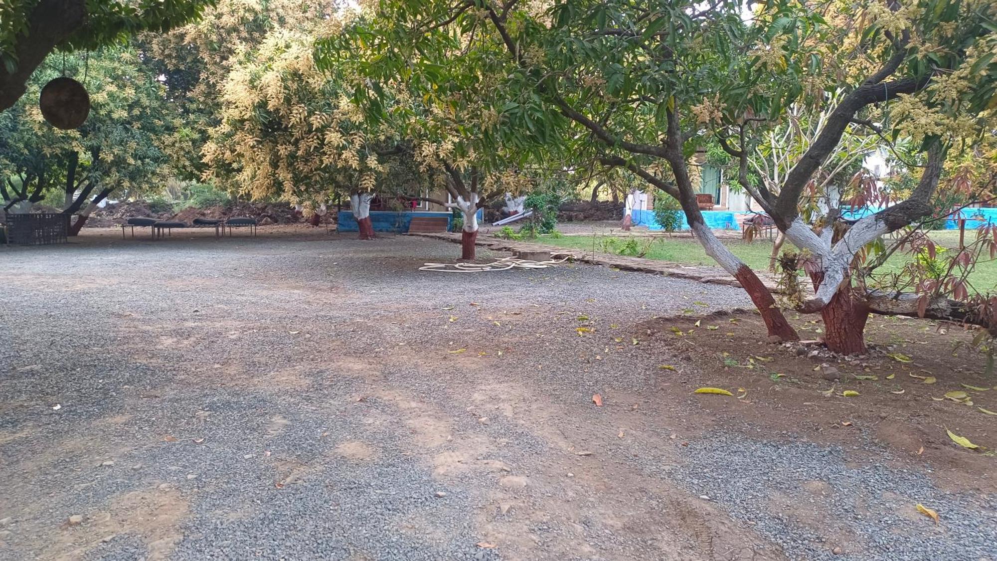 Gir County Resort 萨三吉尔 外观 照片