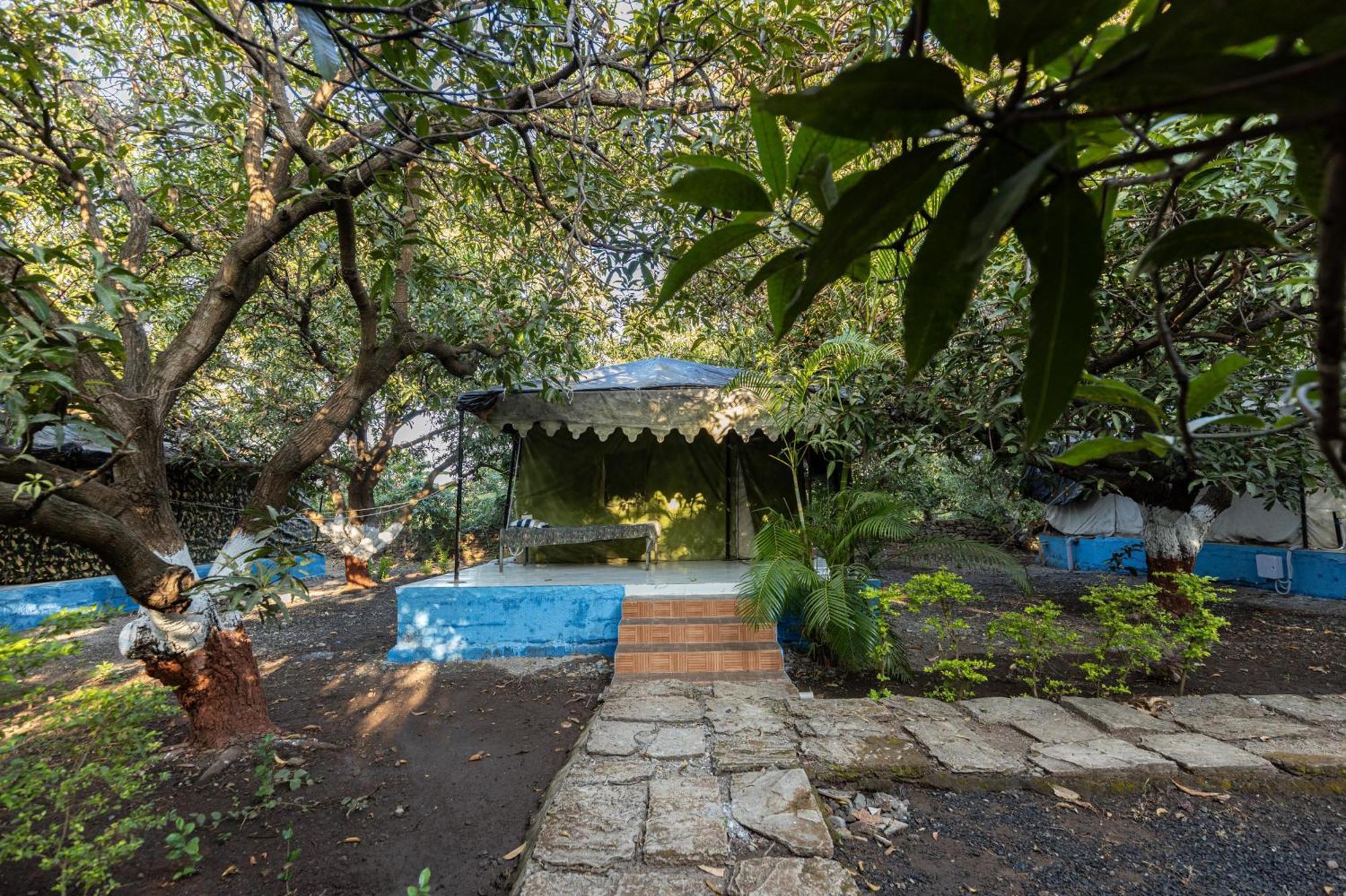 Gir County Resort 萨三吉尔 外观 照片
