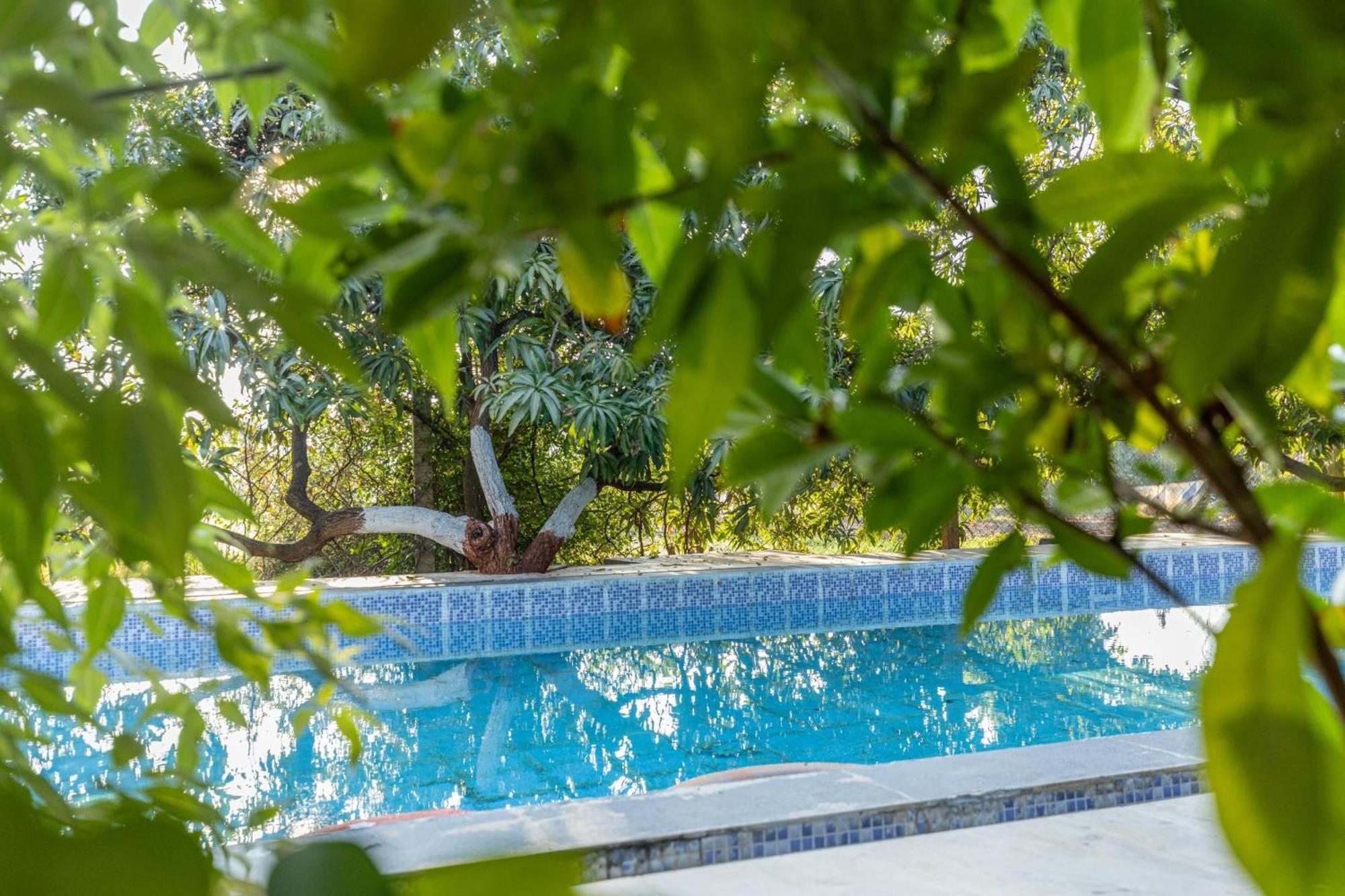 Gir County Resort 萨三吉尔 外观 照片